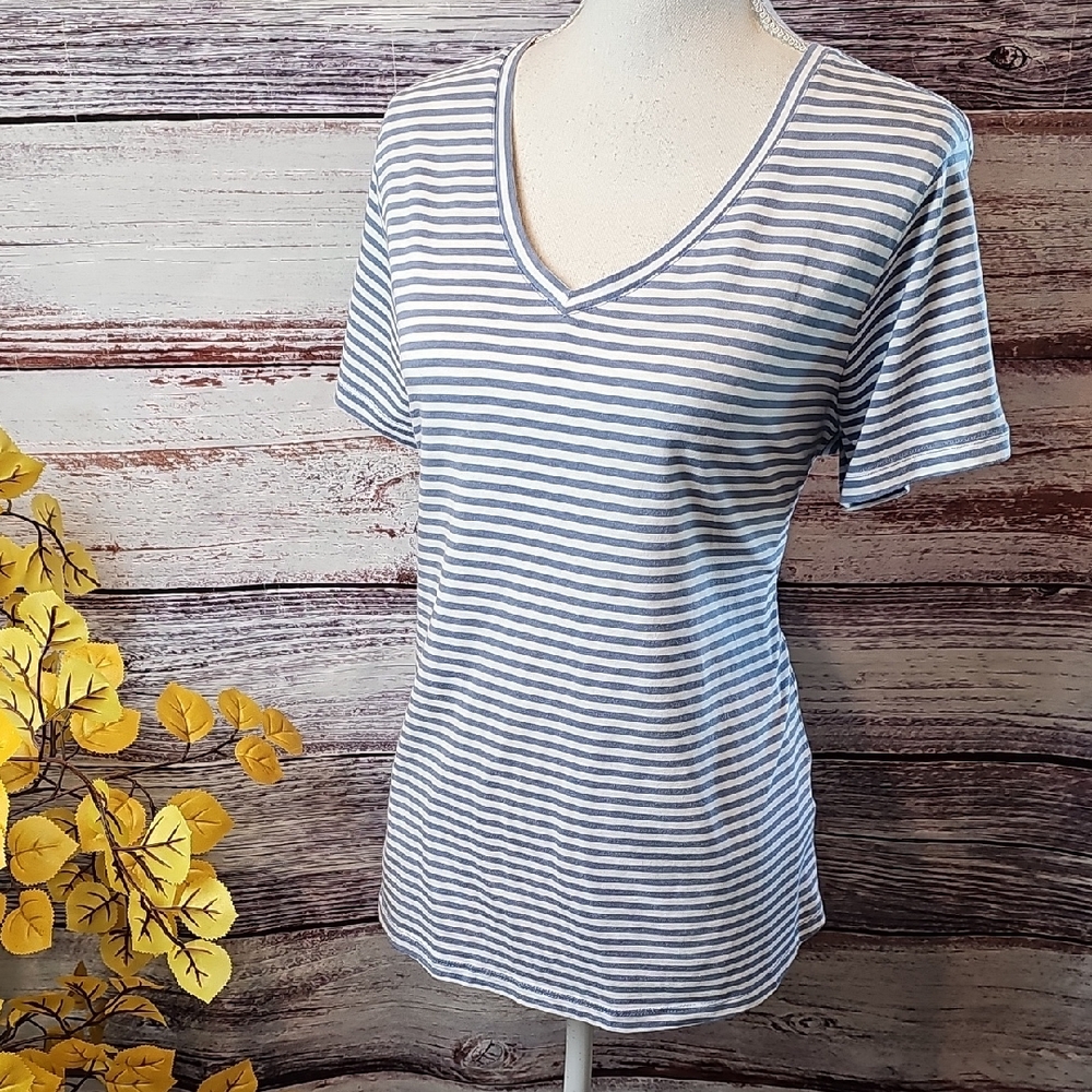 EDDIE BAUER BLUE WHITE STRIPED SHORT SLEEVE V NECK PULLOVER TEE